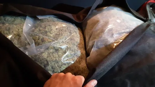 Près de 500 kg d’herbe de cannabis saisis par les douanes de Dijon